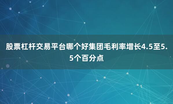 股票杠杆交易平台哪个好集团毛利率增长4.5至5.5个百分点