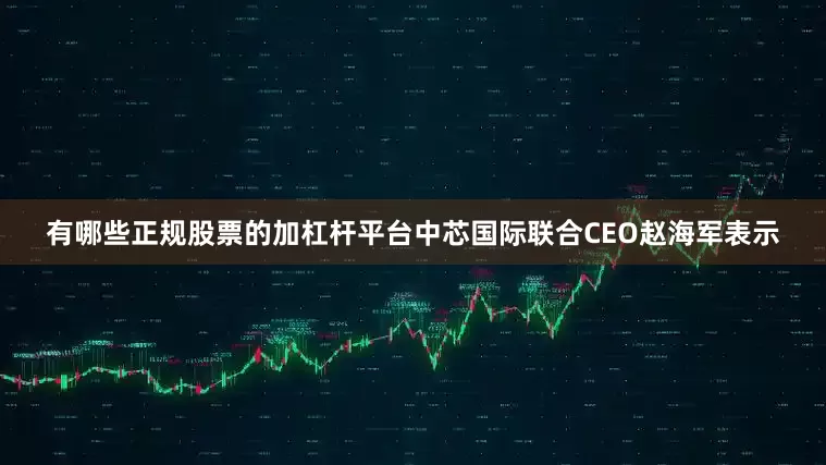 有哪些正规股票的加杠杆平台中芯国际联合CEO赵海军表示