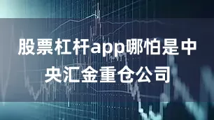 股票杠杆app哪怕是中央汇金重仓公司