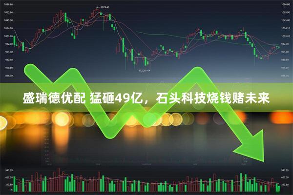盛瑞德优配 猛砸49亿，石头科技烧钱赌未来