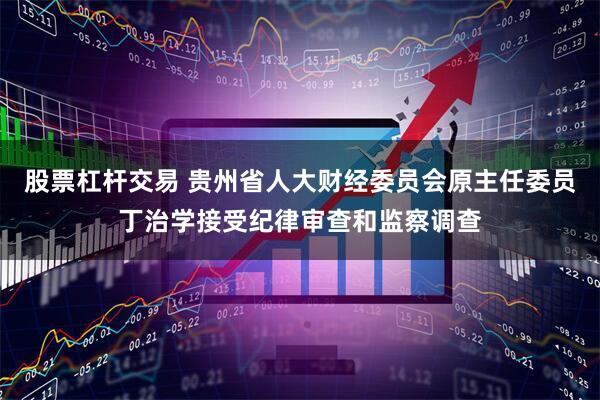 股票杠杆交易 贵州省人大财经委员会原主任委员丁治学接受纪律审查和监察调查